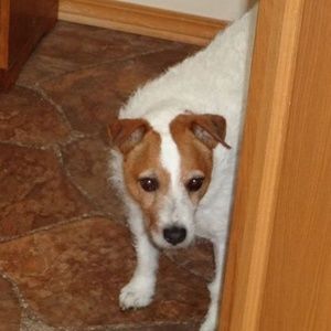 Meet your Posher, Mimi